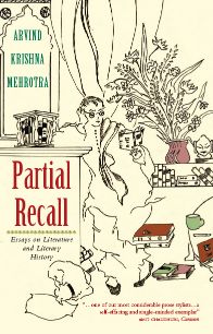 Orient Partial Recall : Essays on Literature and Literary History